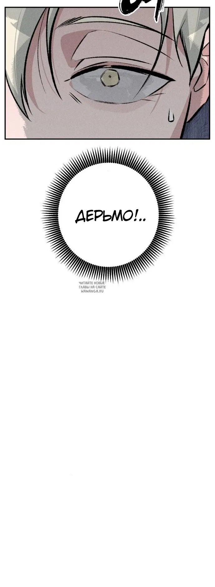 Page 55.000