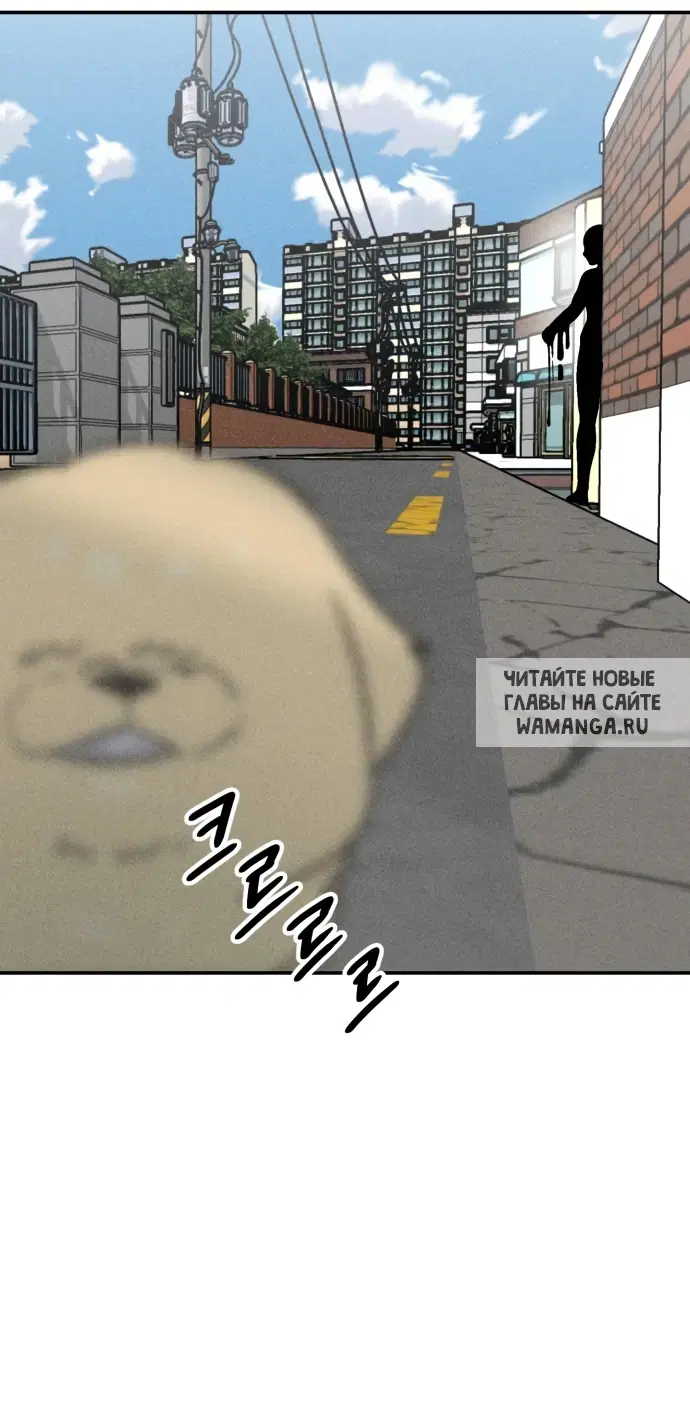 Page 55.000