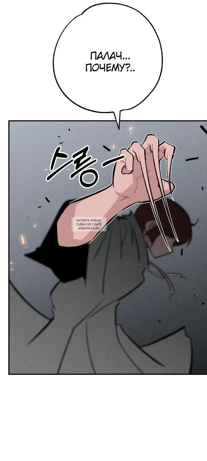 Page 50.000