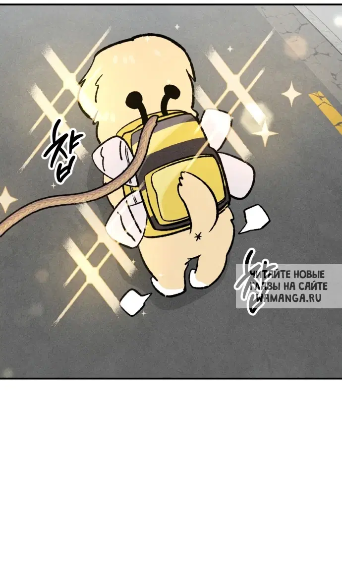 Page 51.000