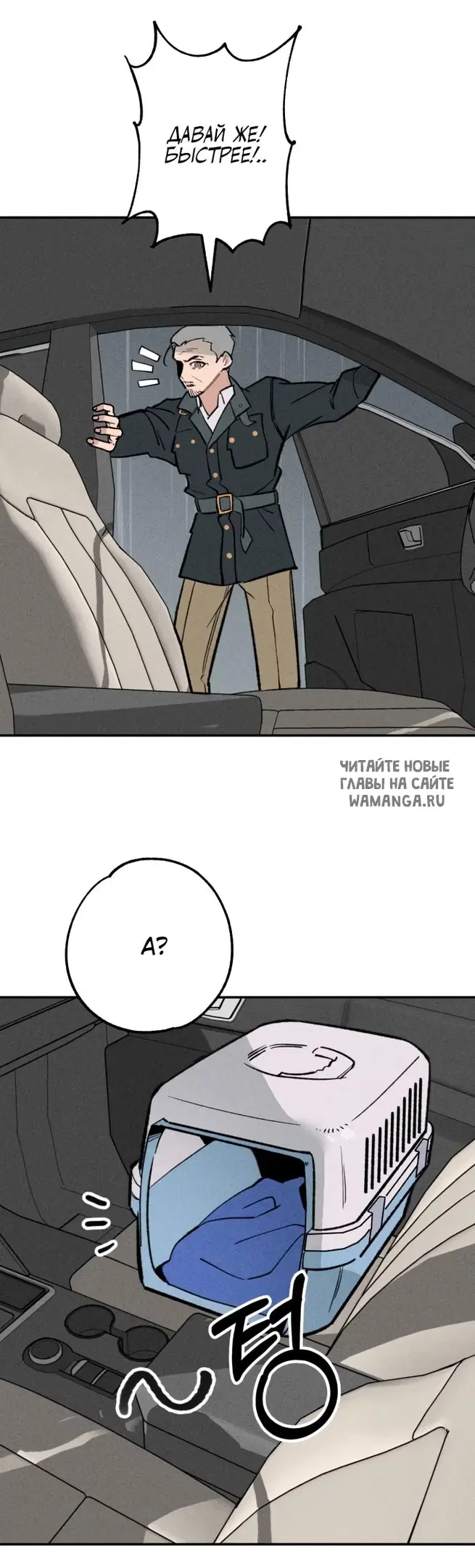 Page 53.000