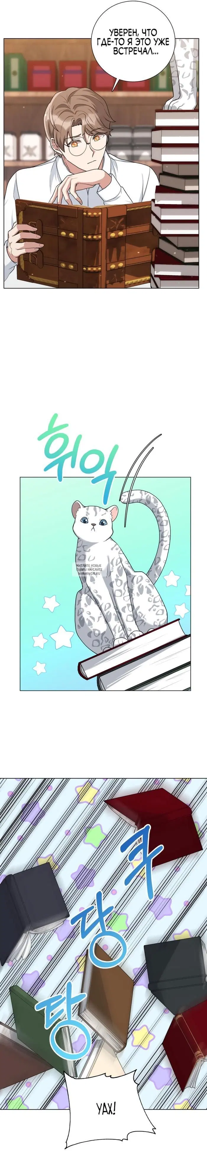 Page 17.000