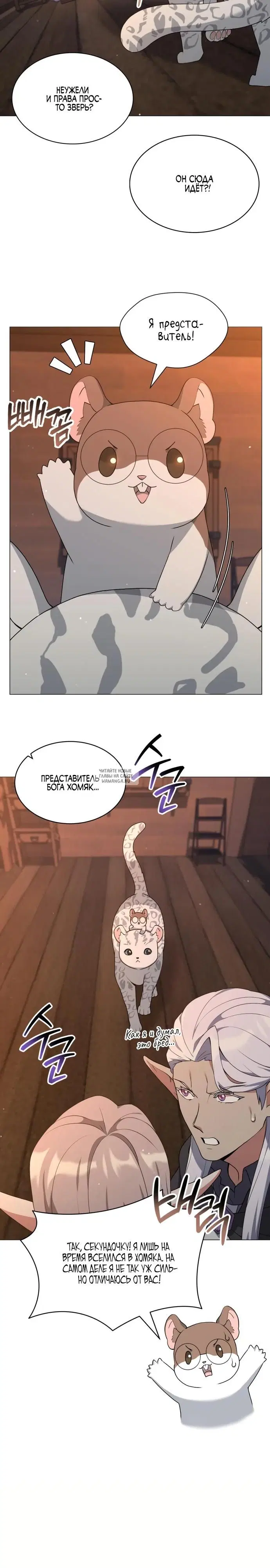 Page 26.000
