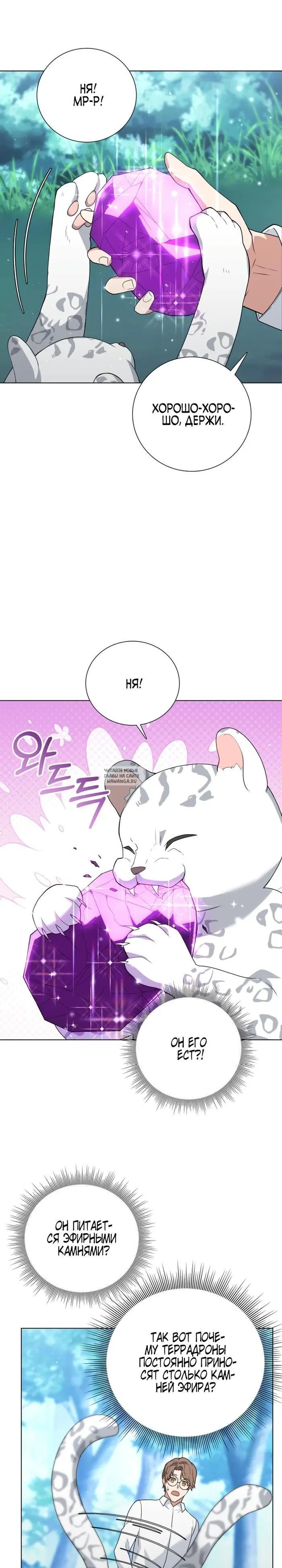 Page 21.000