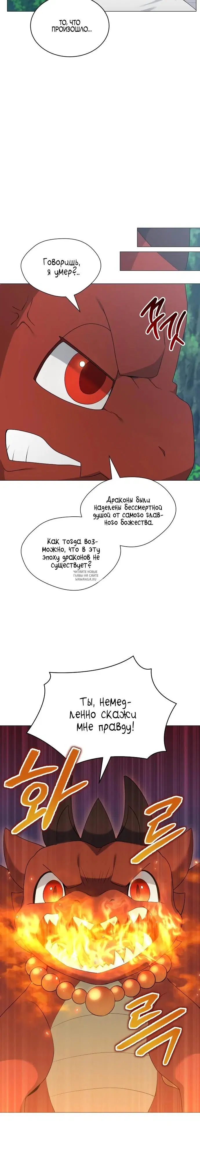 Page 21.000