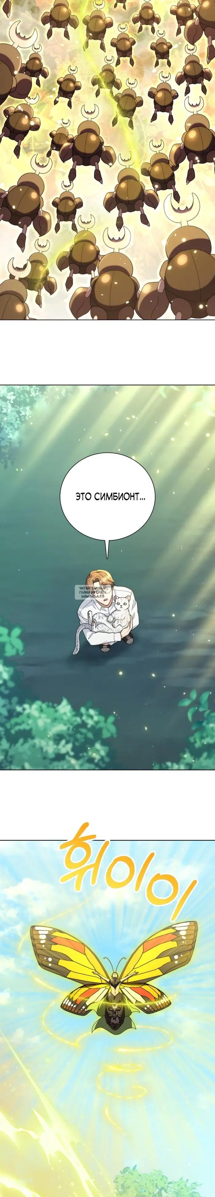 Page 34.000