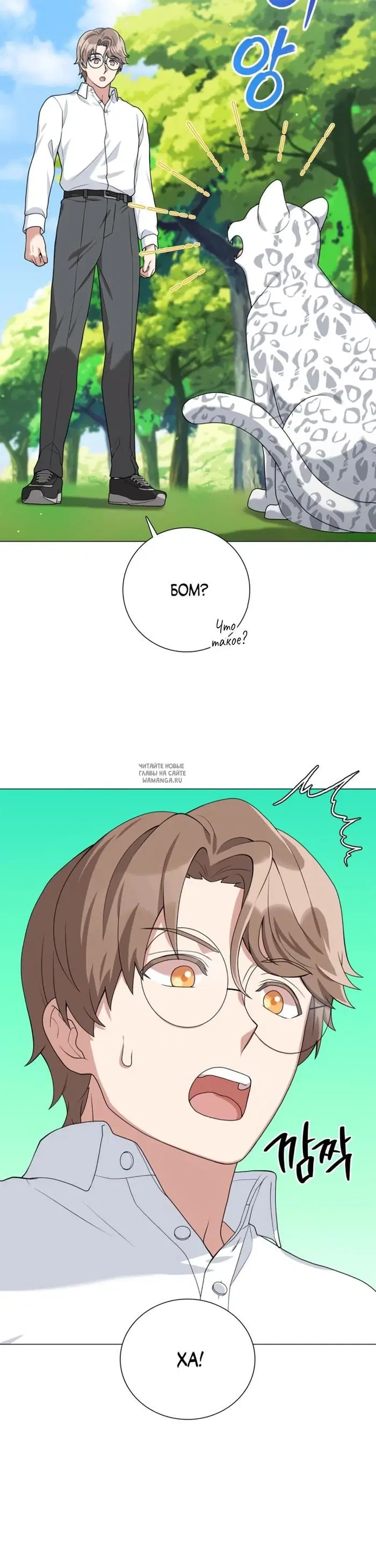 Page 31.000