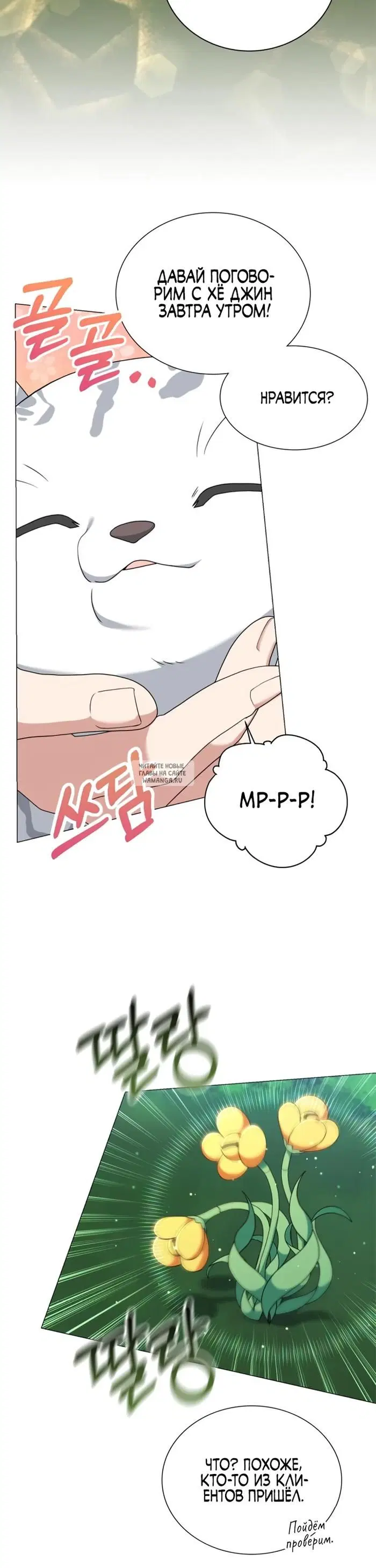Page 31.000