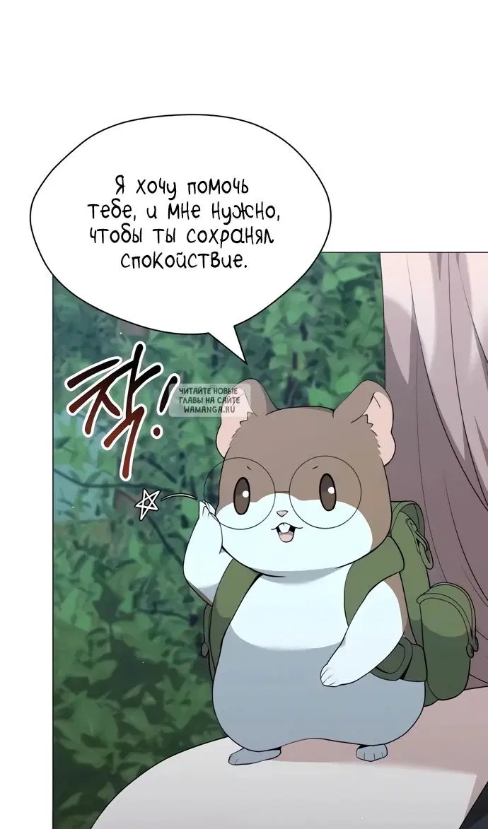 Page 31.000