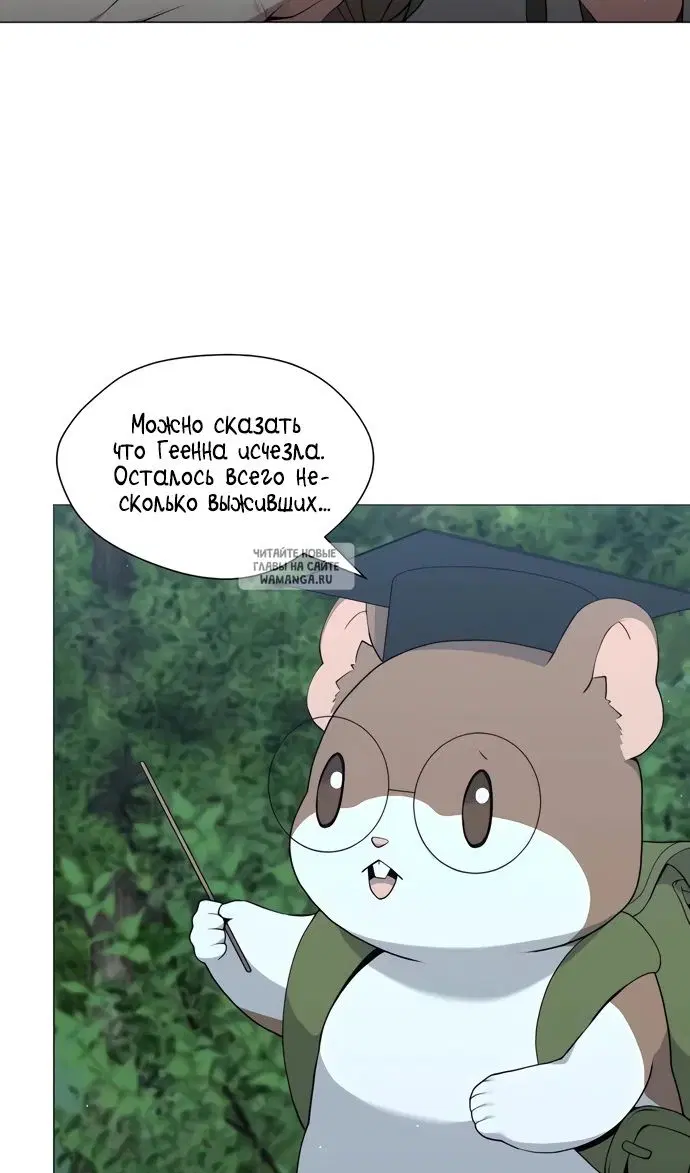Page 51.000