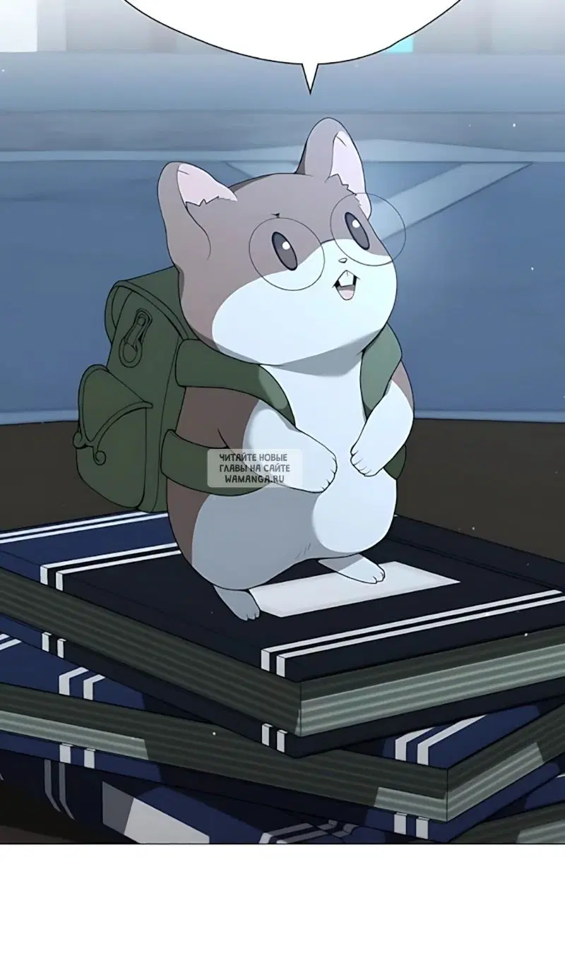 Page 51.000