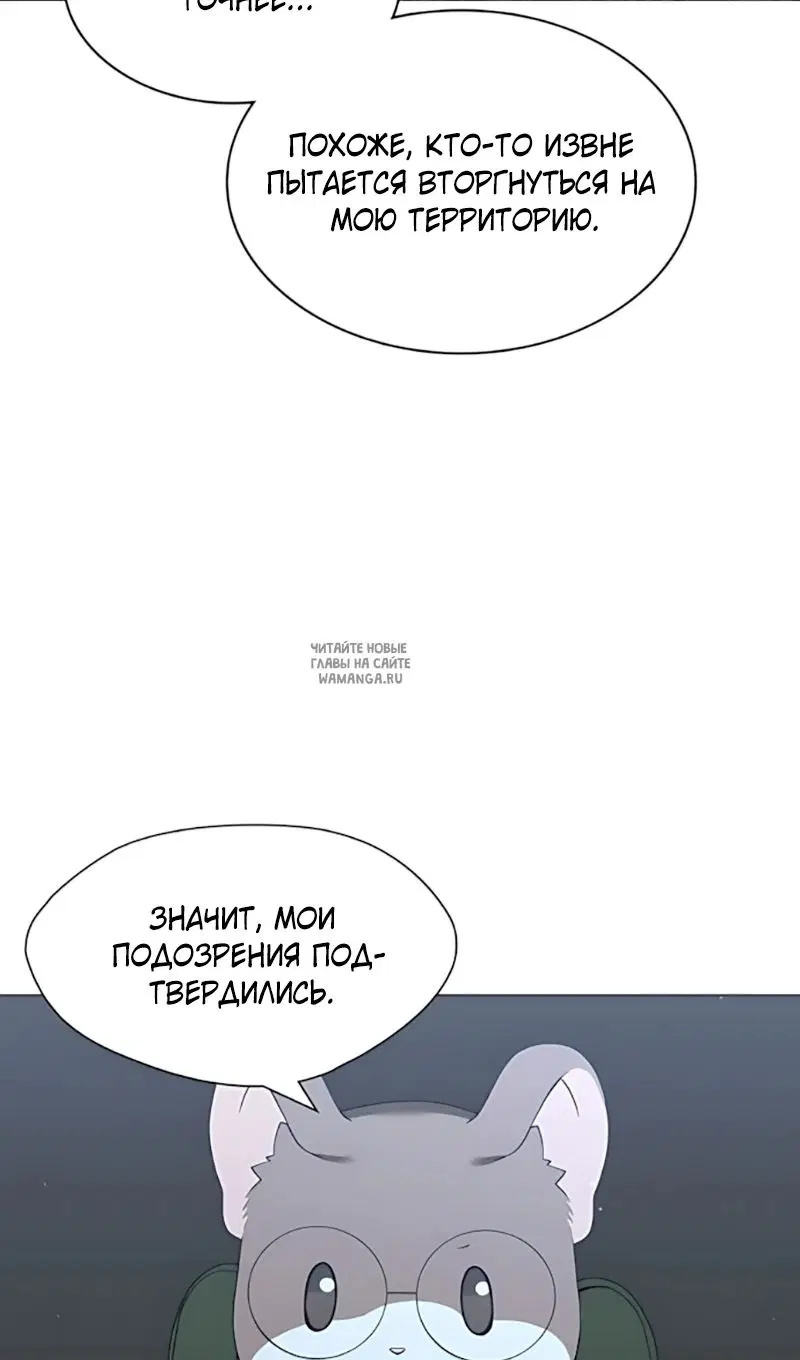 Page 53.000
