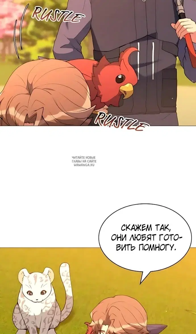 Page 64.000