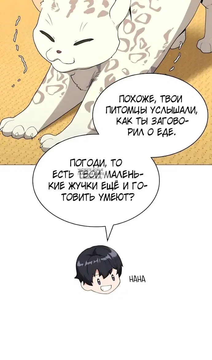 Page 61.000