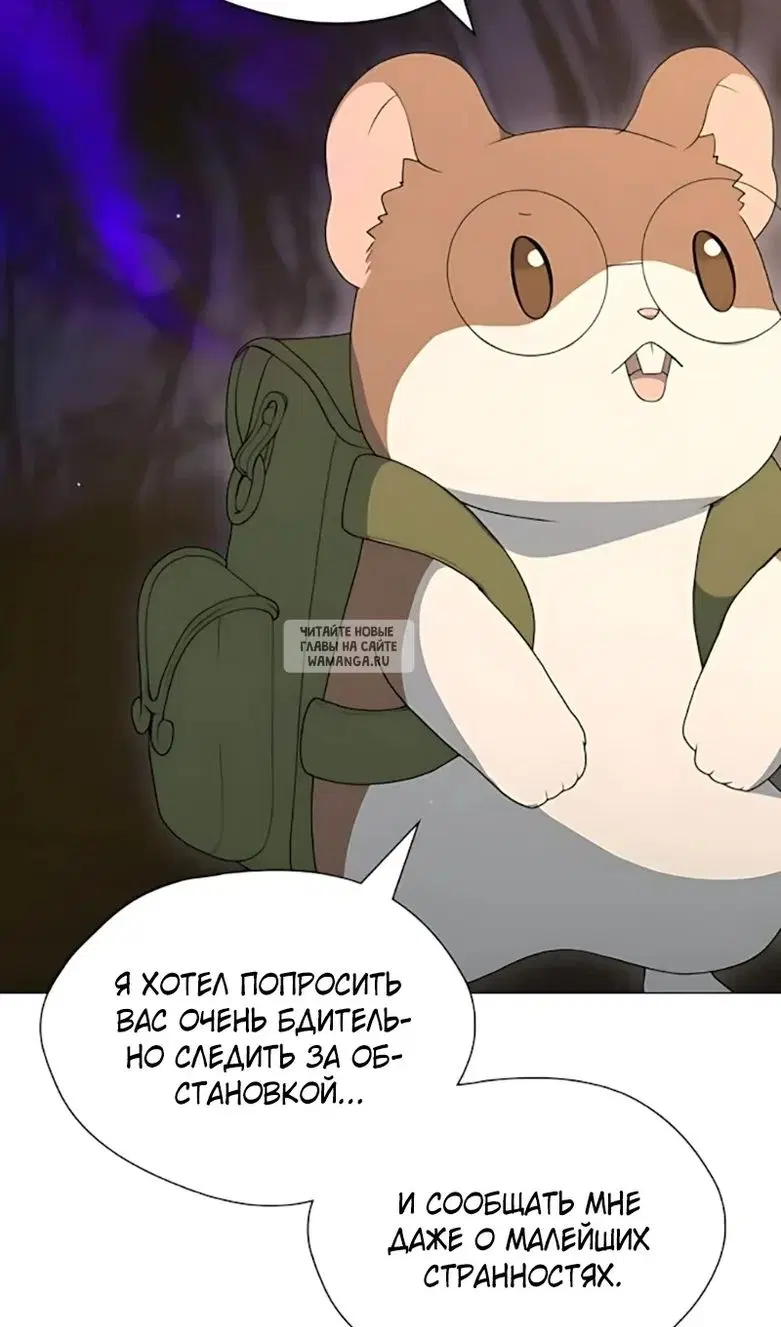 Page 80.000