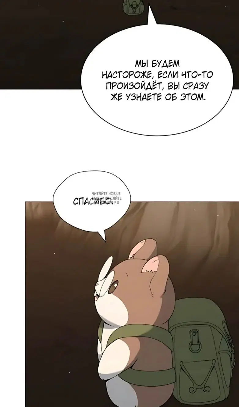 Page 82.000