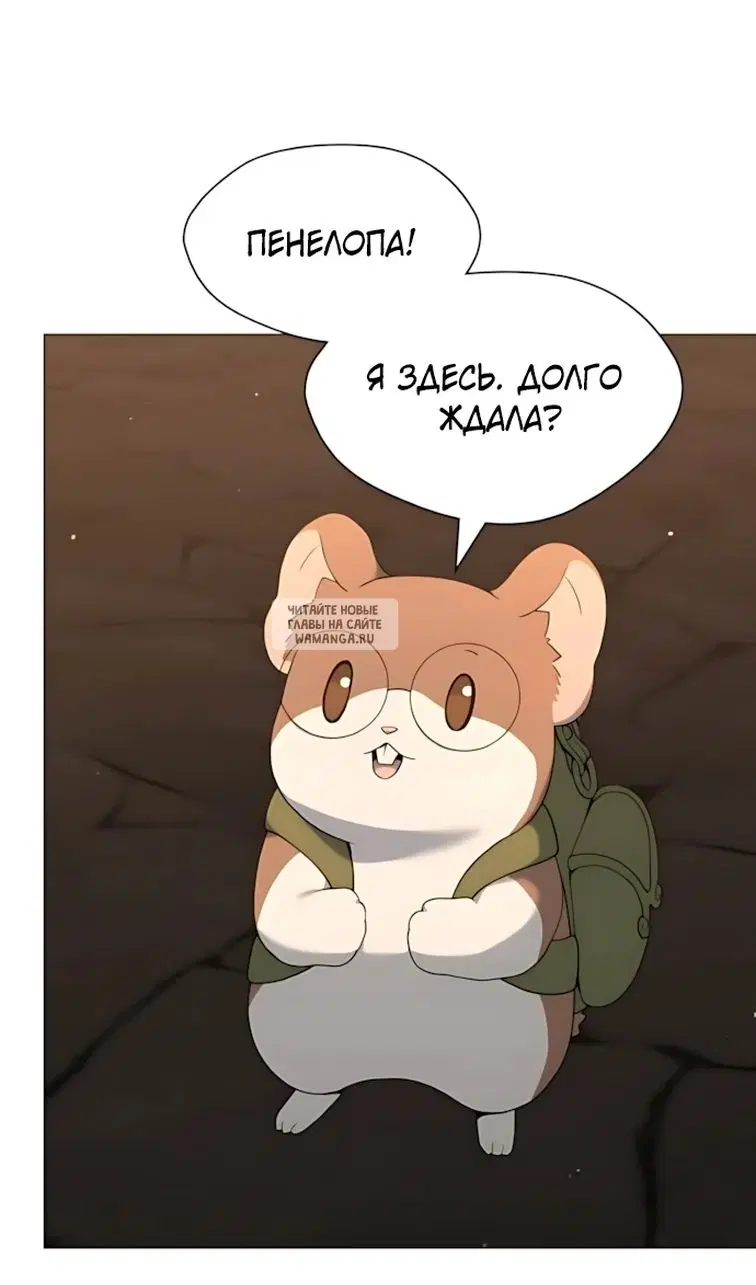 Page 83.000