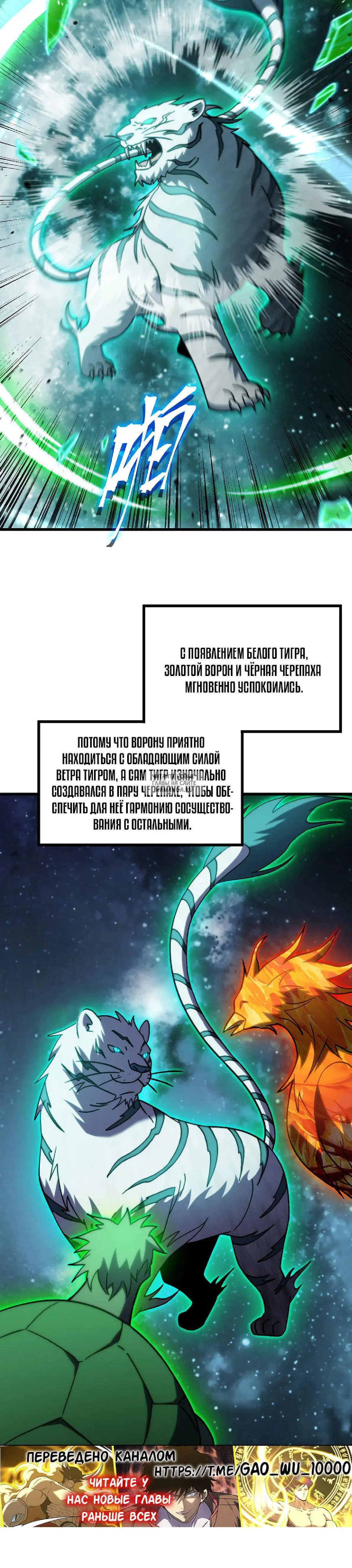 Page 20.000