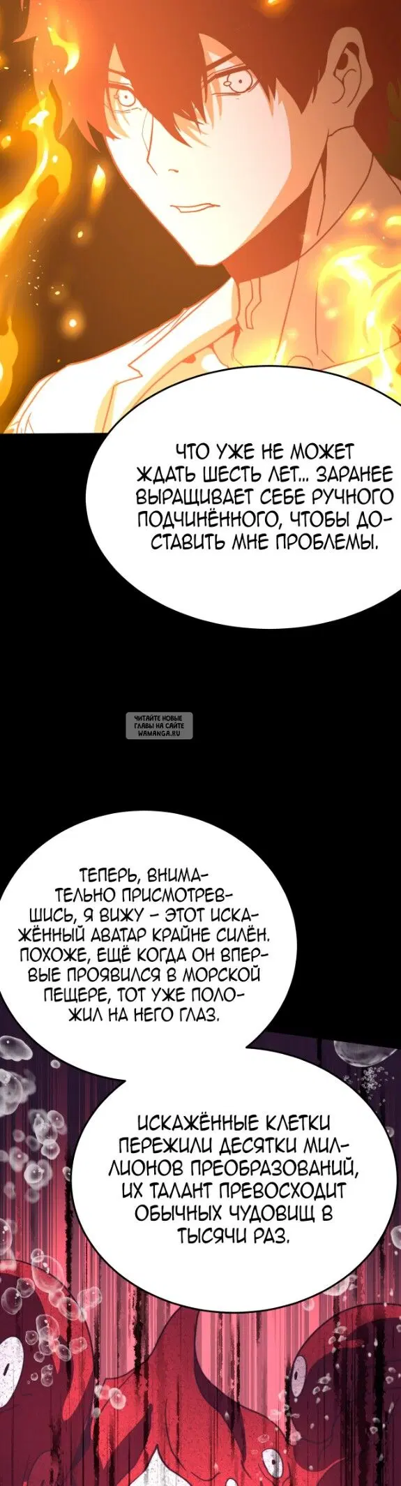 Page 31.000