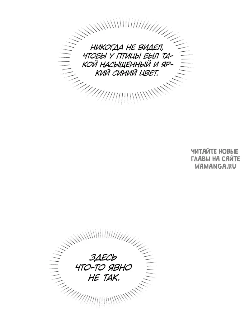 Page 28.000
