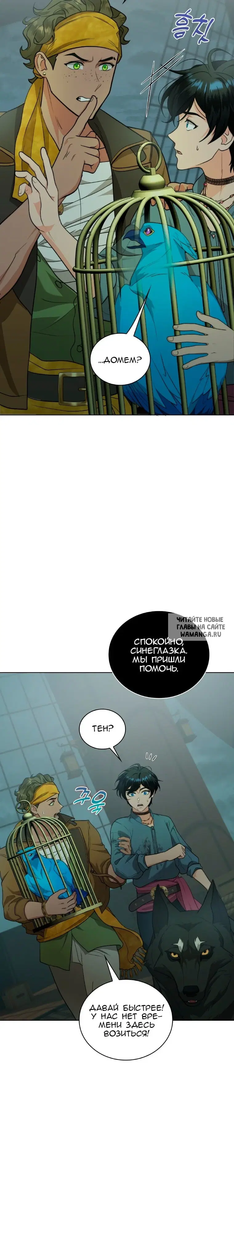 Page 31.000