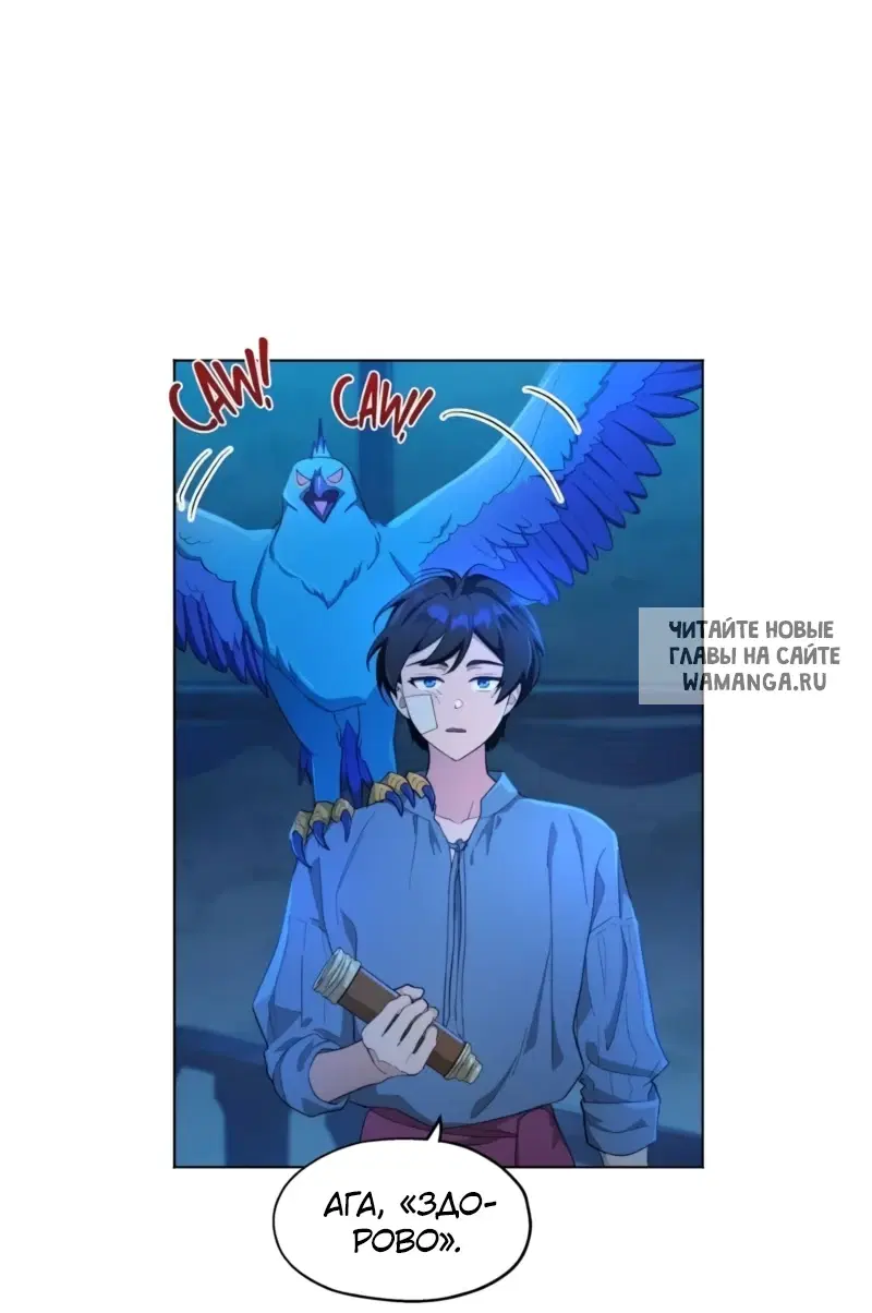 Page 55.000