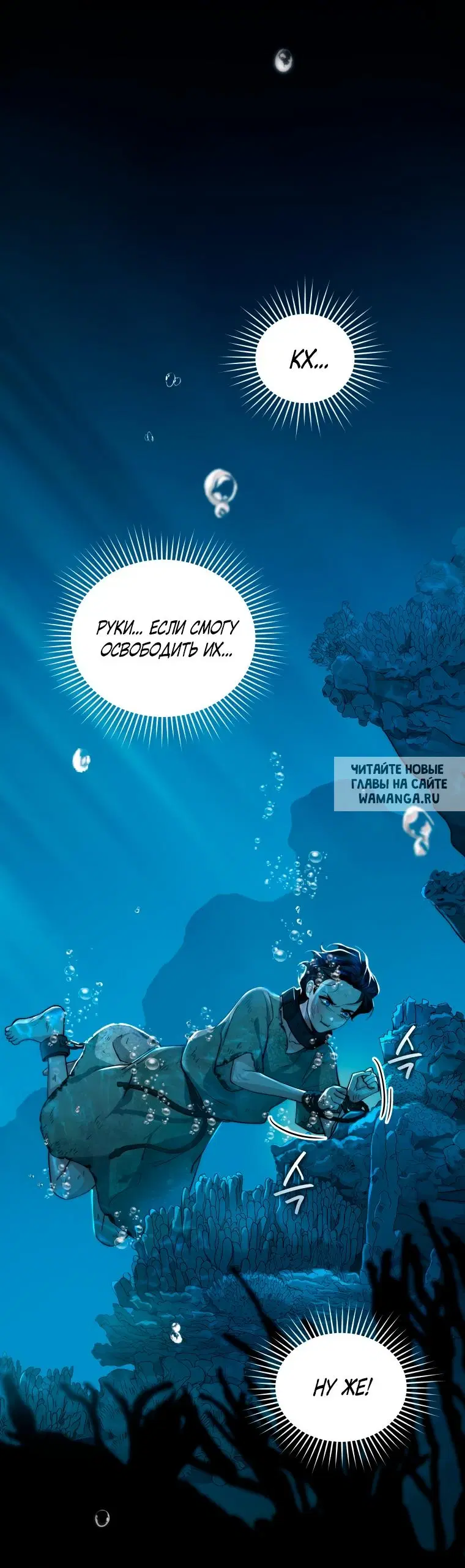 Page 51.000
