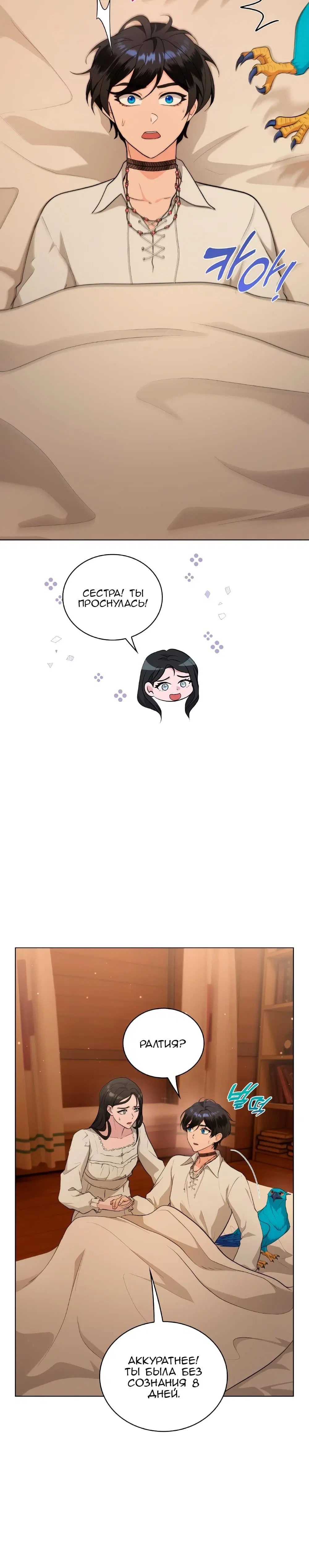Page 5.003
