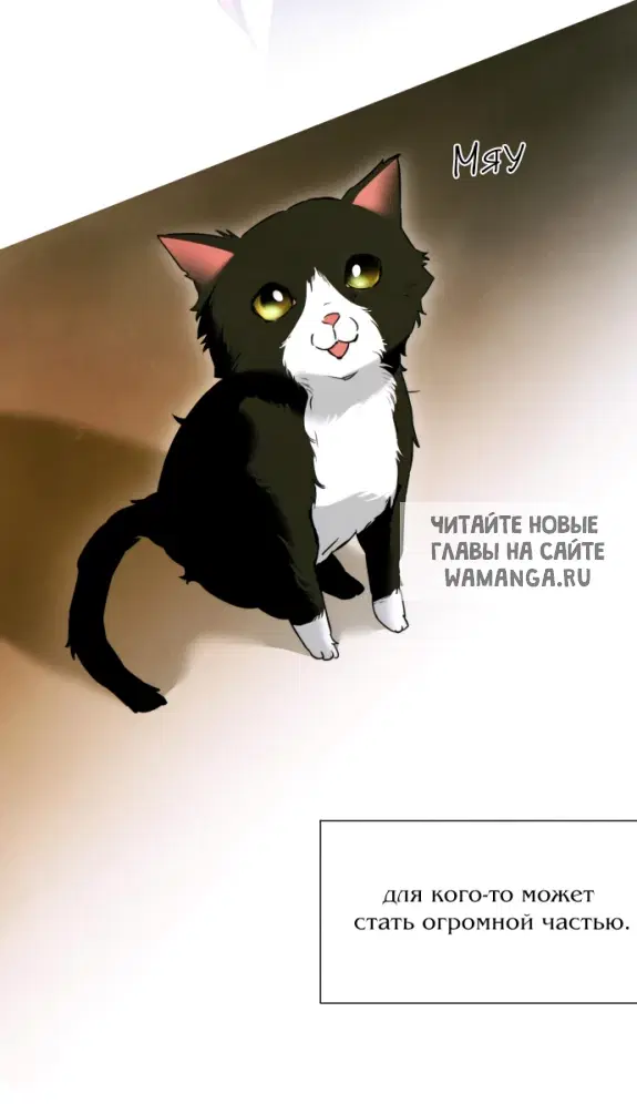 Page 29.000