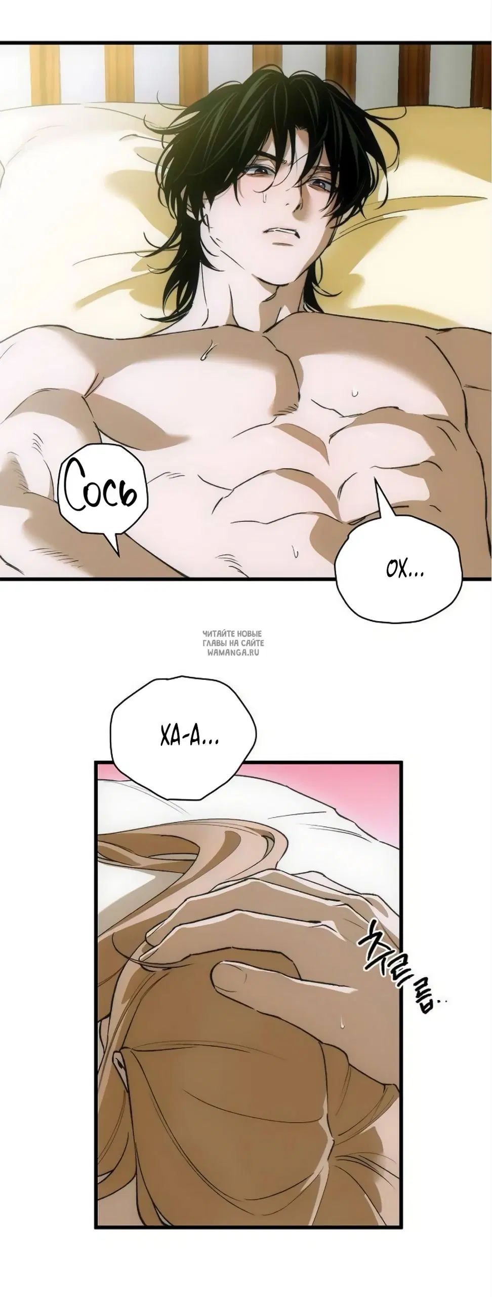 Page 41.000