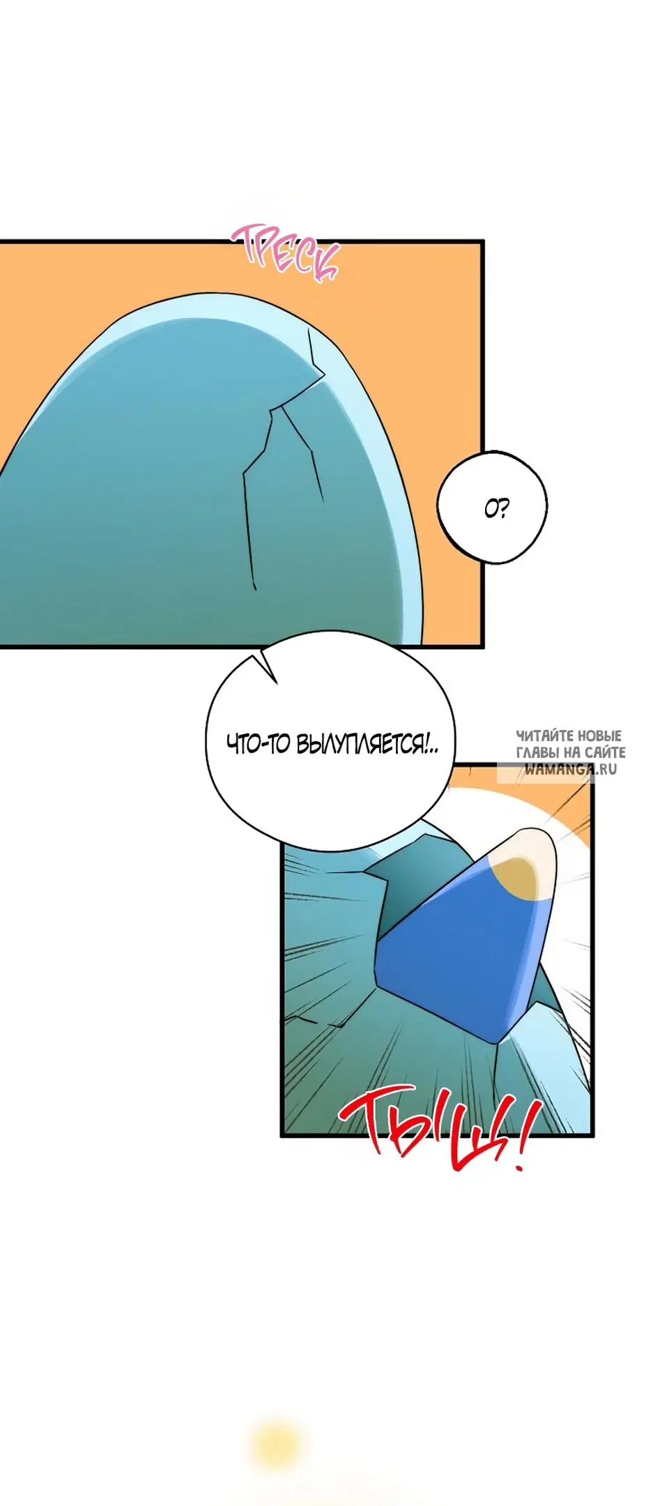 Page 51.000