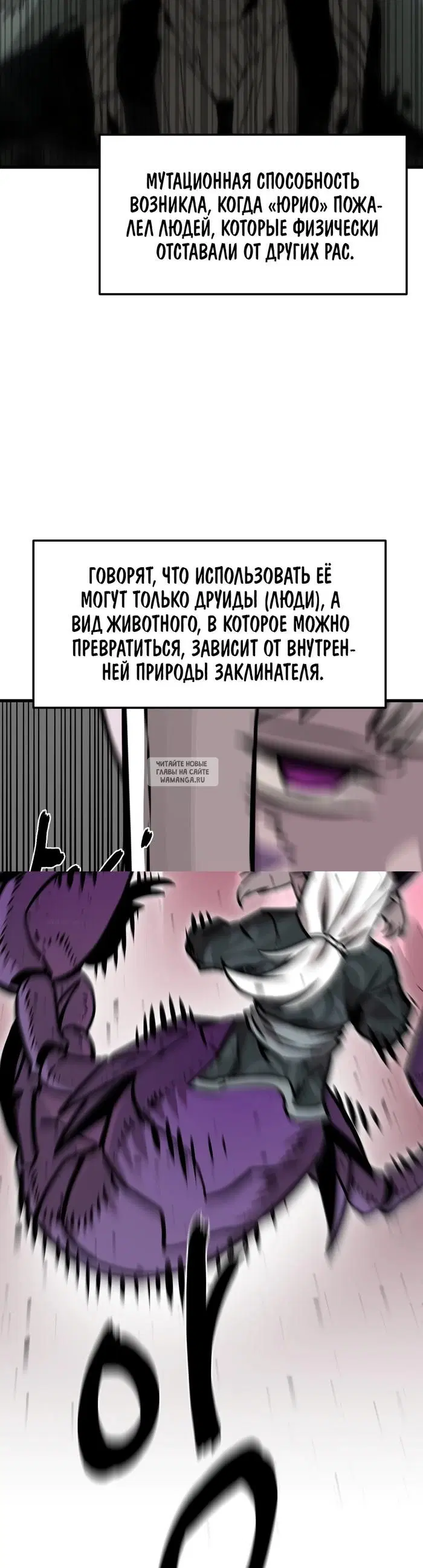Page 31.000