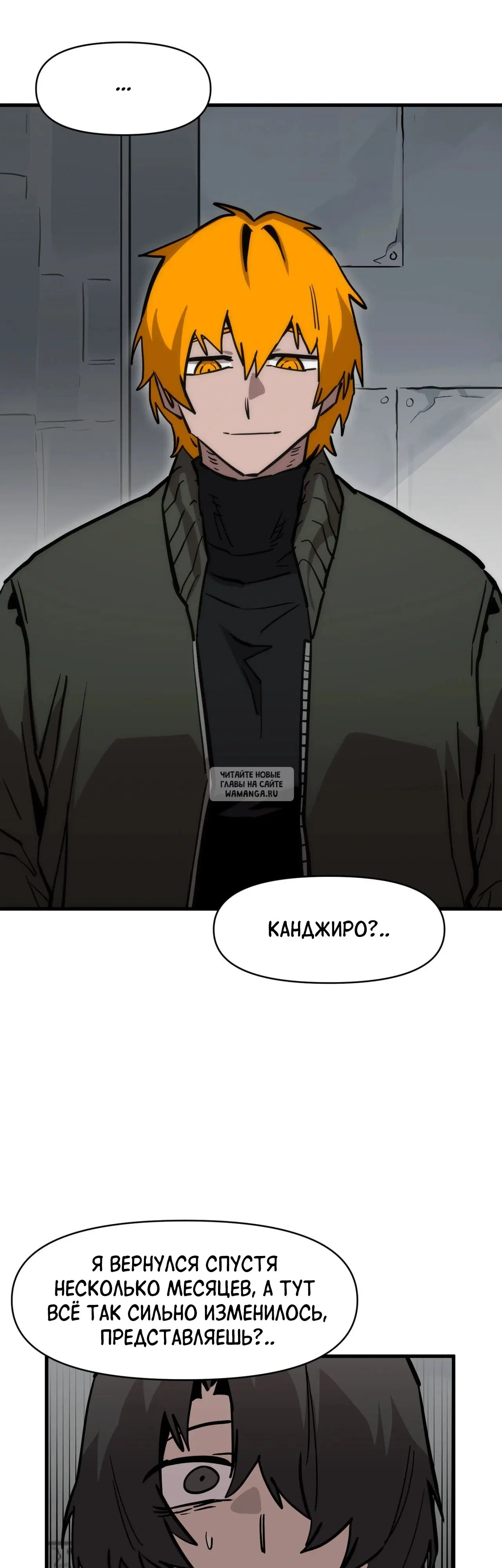 Page 31.000