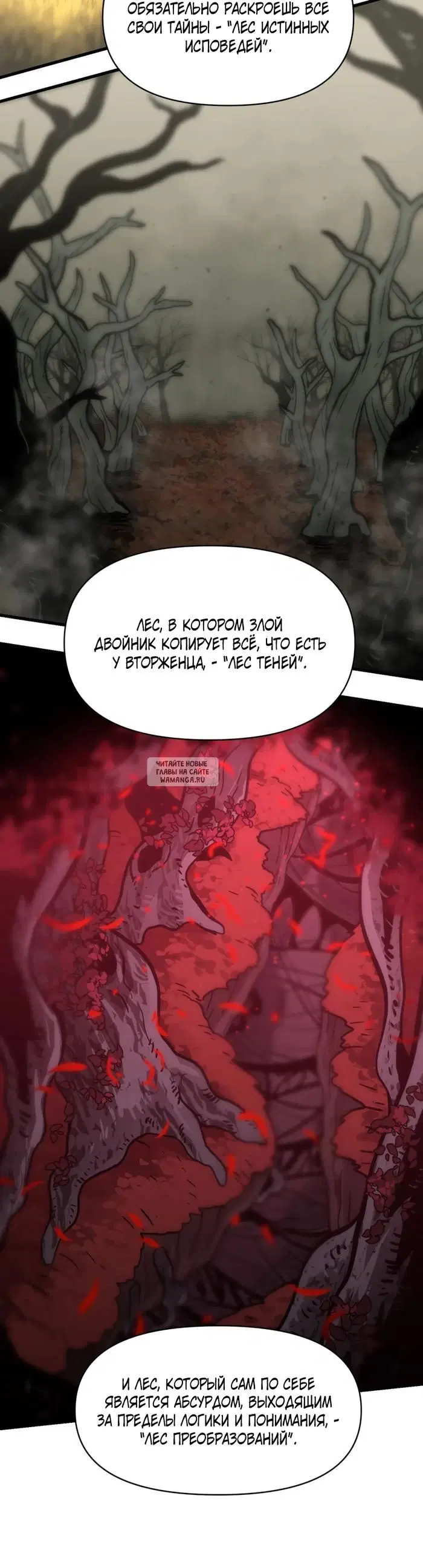 Page 40.000