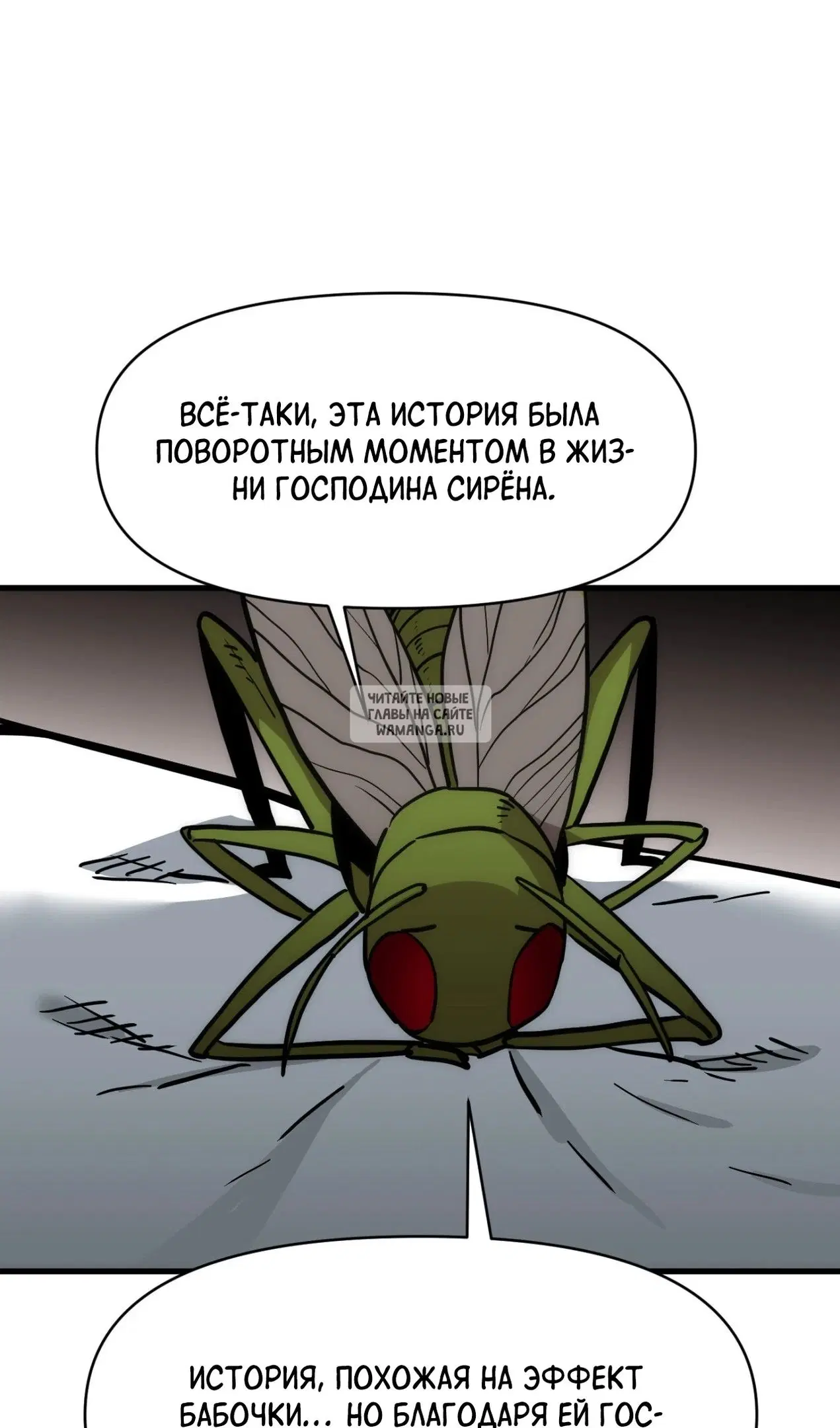 Page 40.000