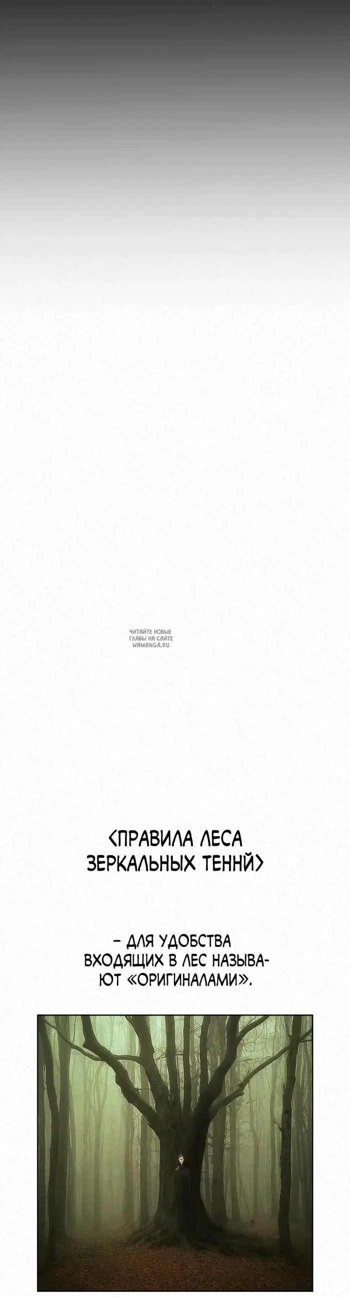 Page 41.000
