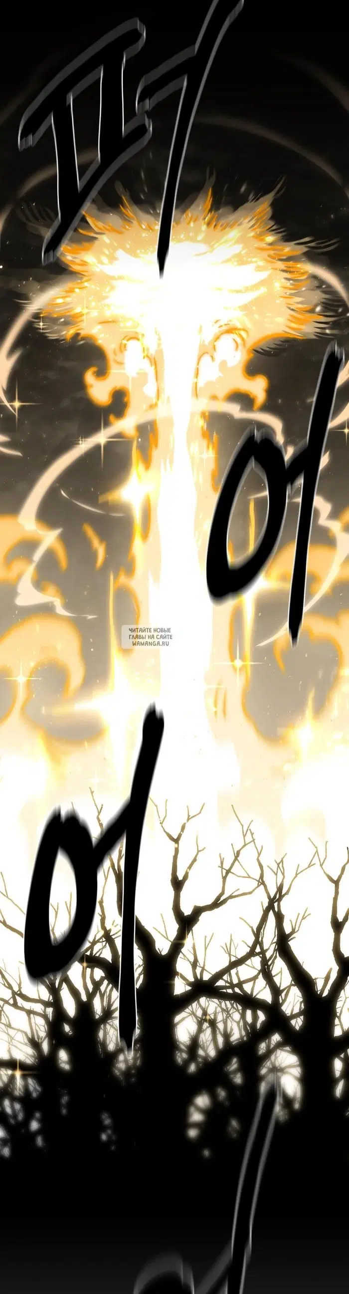 Page 51.000