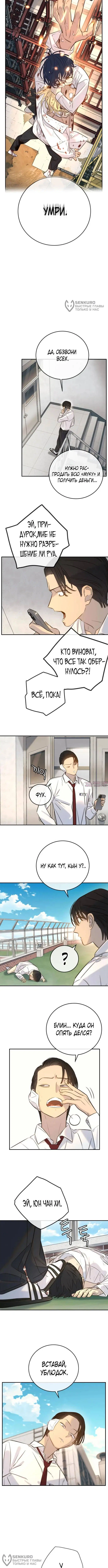 Page 8.000