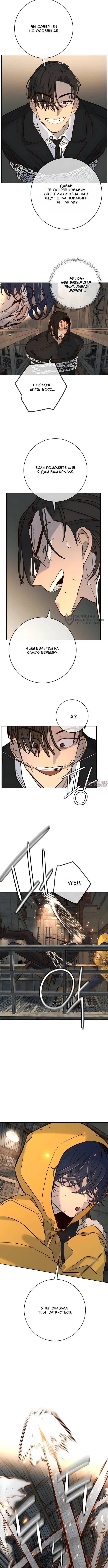 Page 11.000