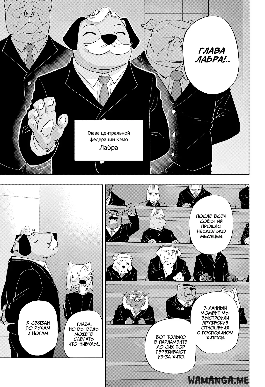 Page 3.000
