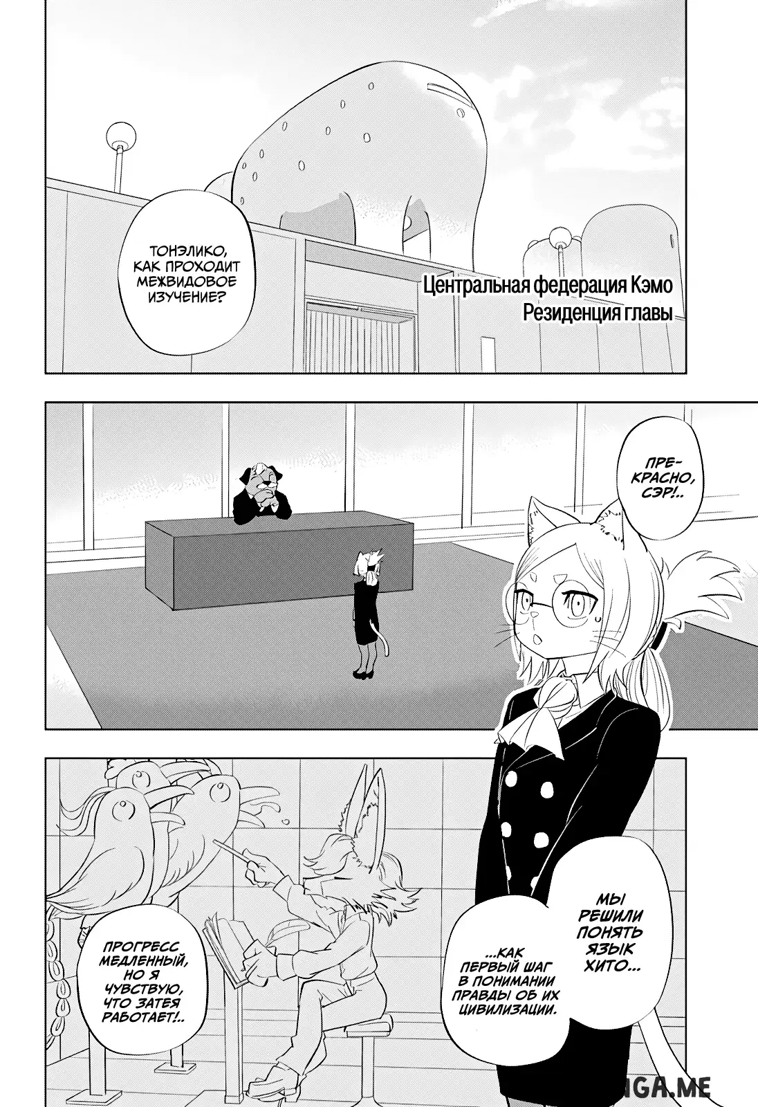 Page 6.000