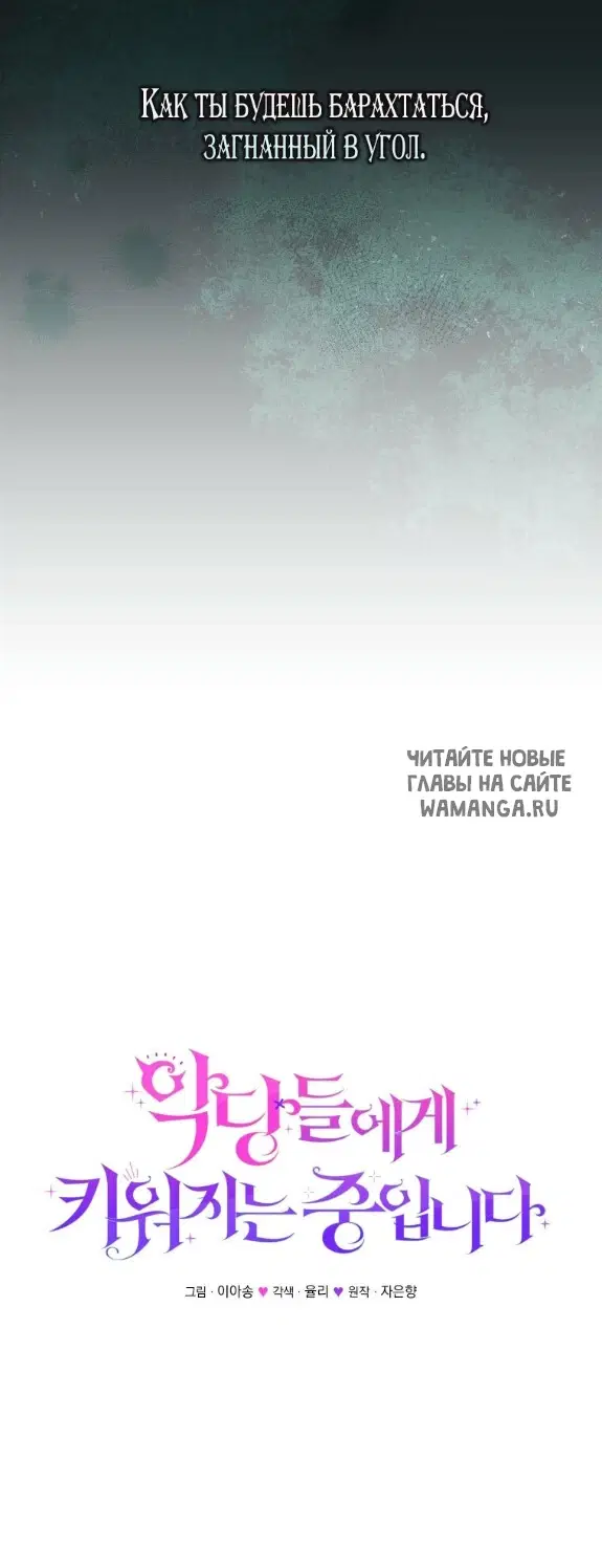Page 24.000