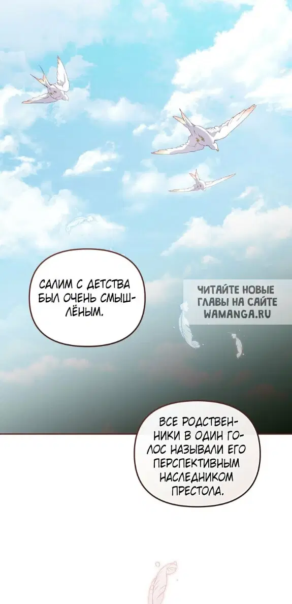 Page 23.000