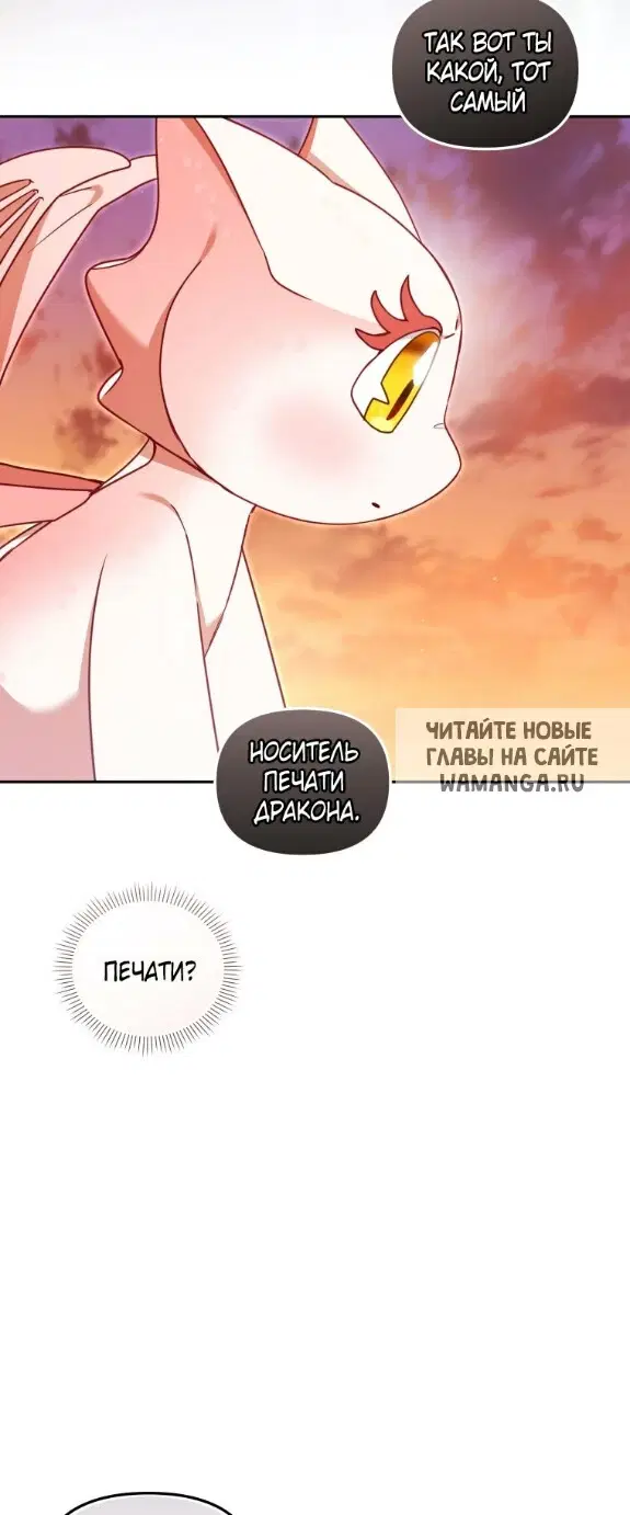 Page 35.000