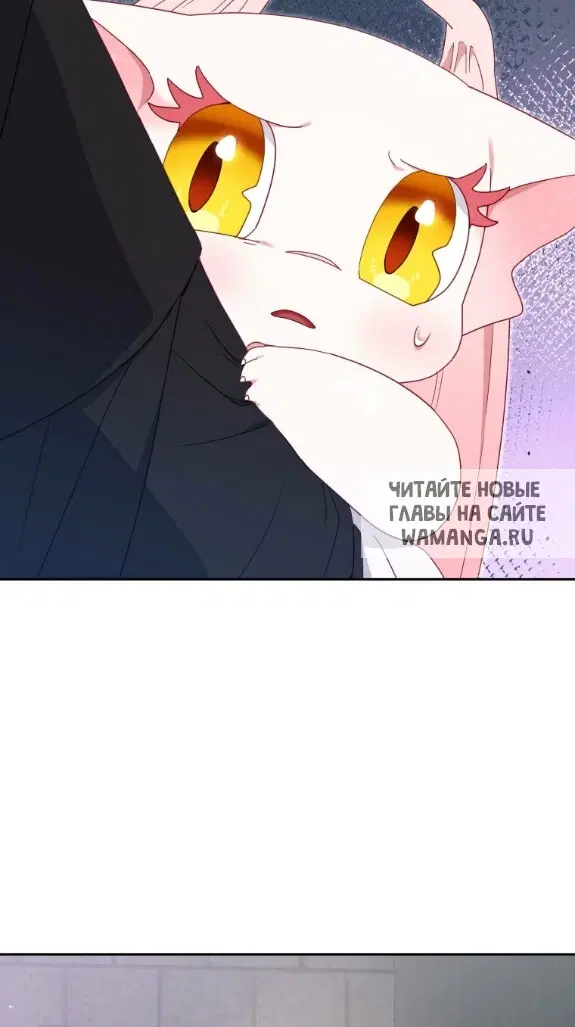 Page 36.000