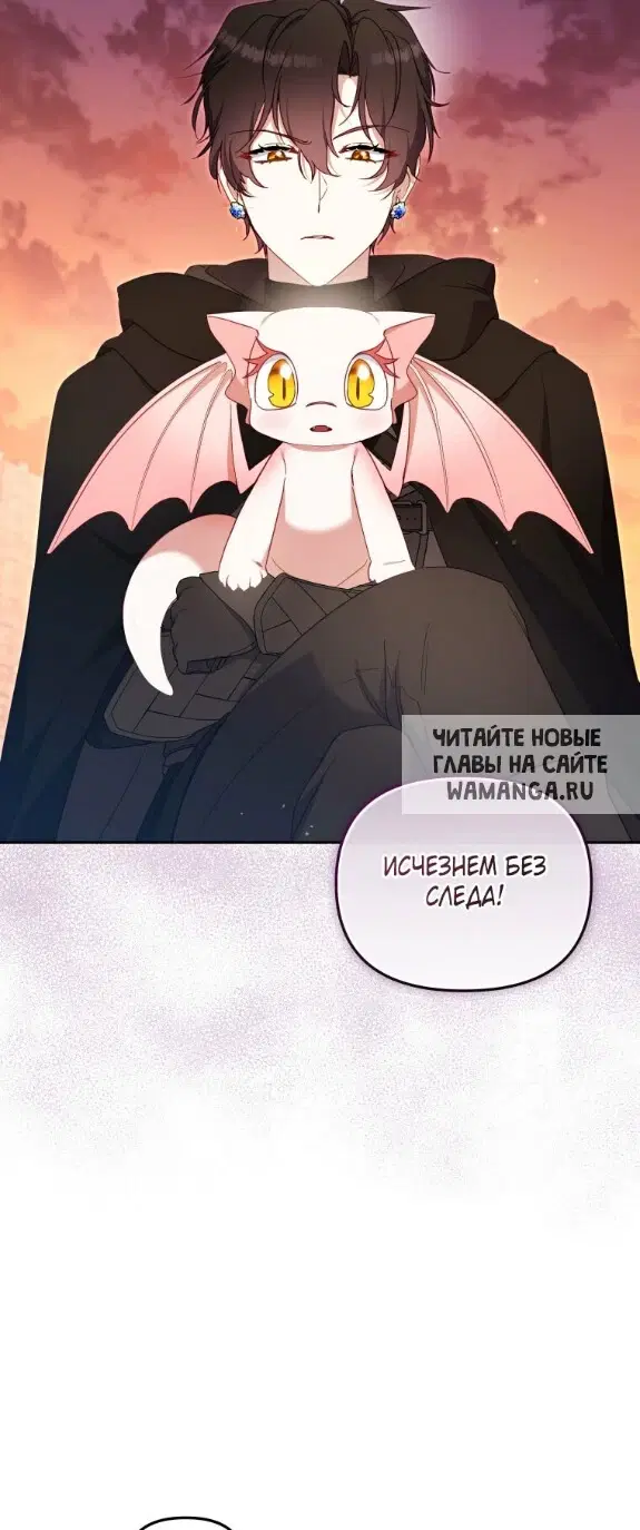 Page 39.000