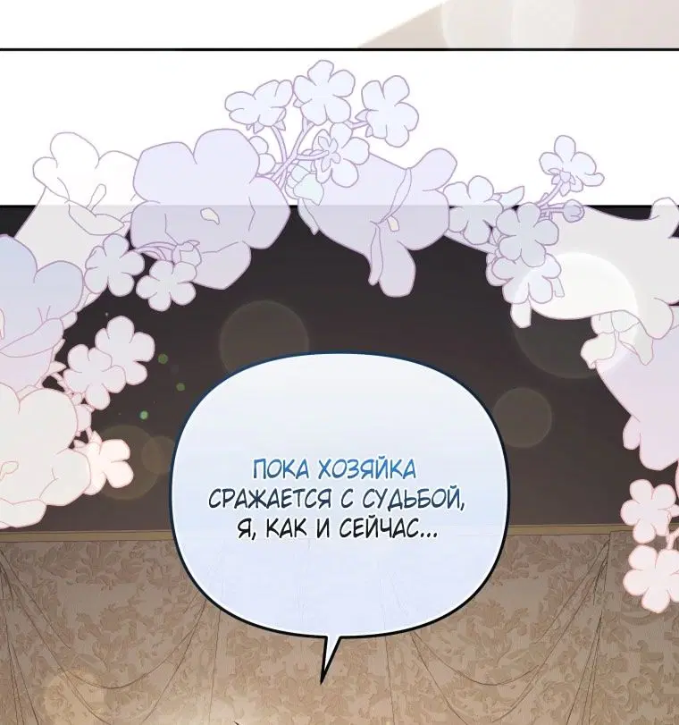 Page 30.000