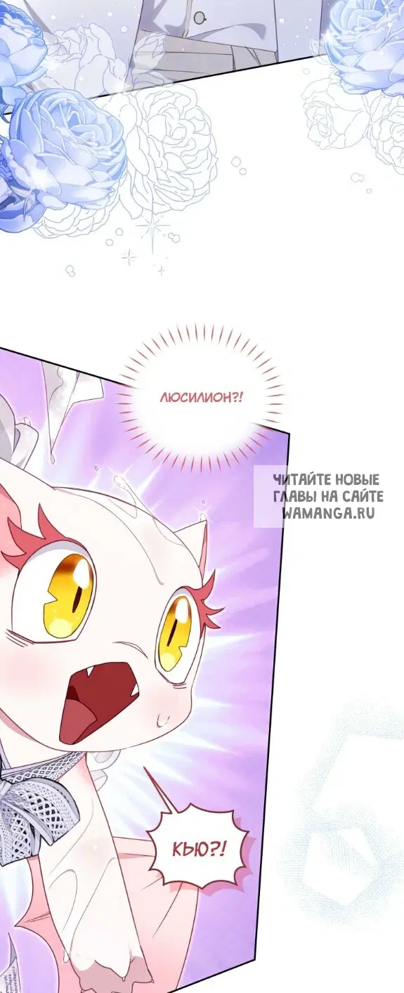 Page 48.000