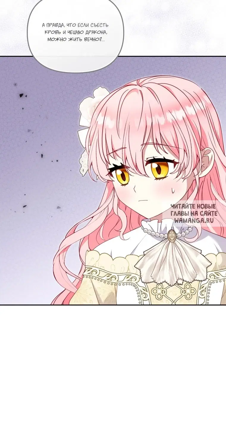Page 49.000