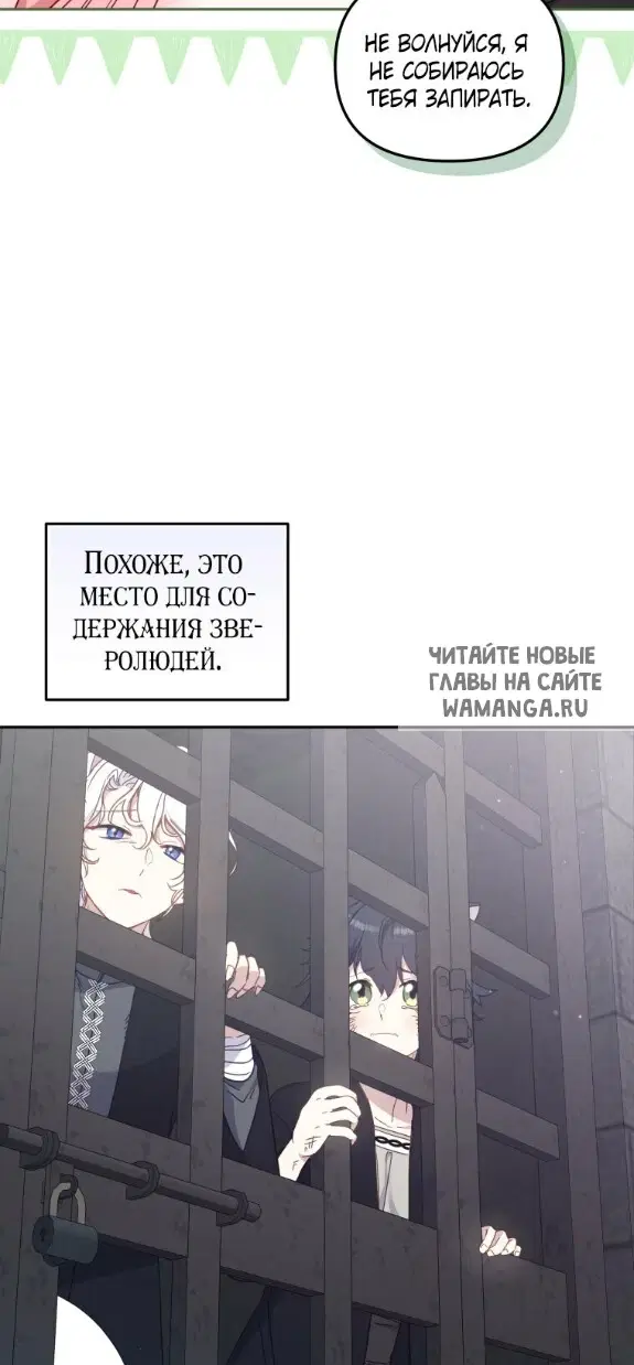 Page 40.000